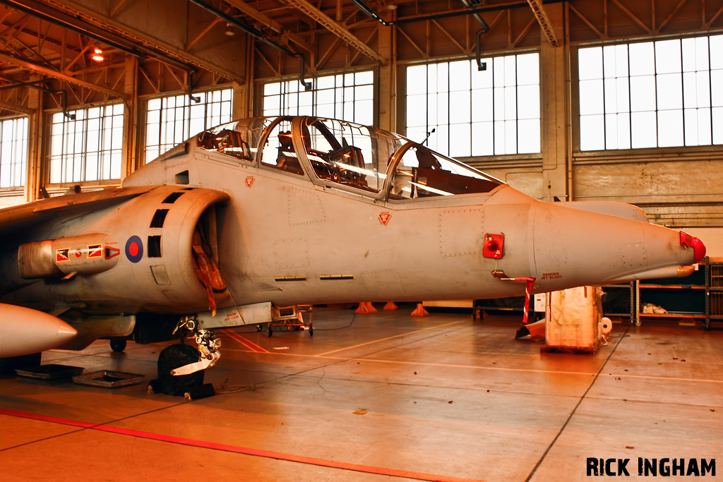 British Aerospace Harrier T12 - ZH659/107 - RAF