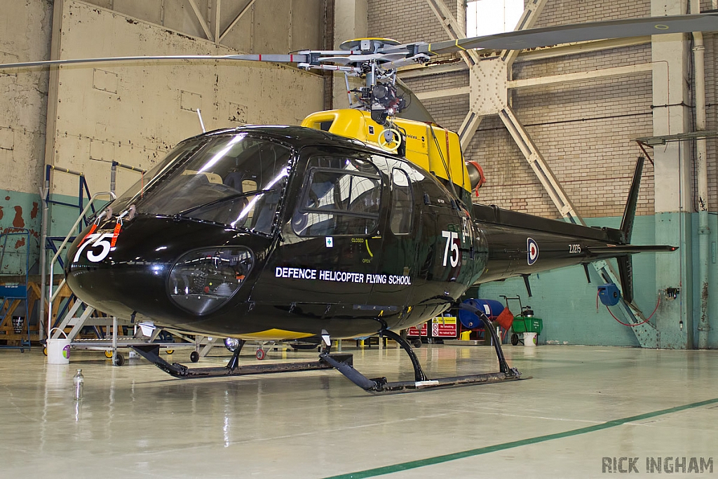 Eurocopter Squirrel HT1 - ZJ275 - DHFS