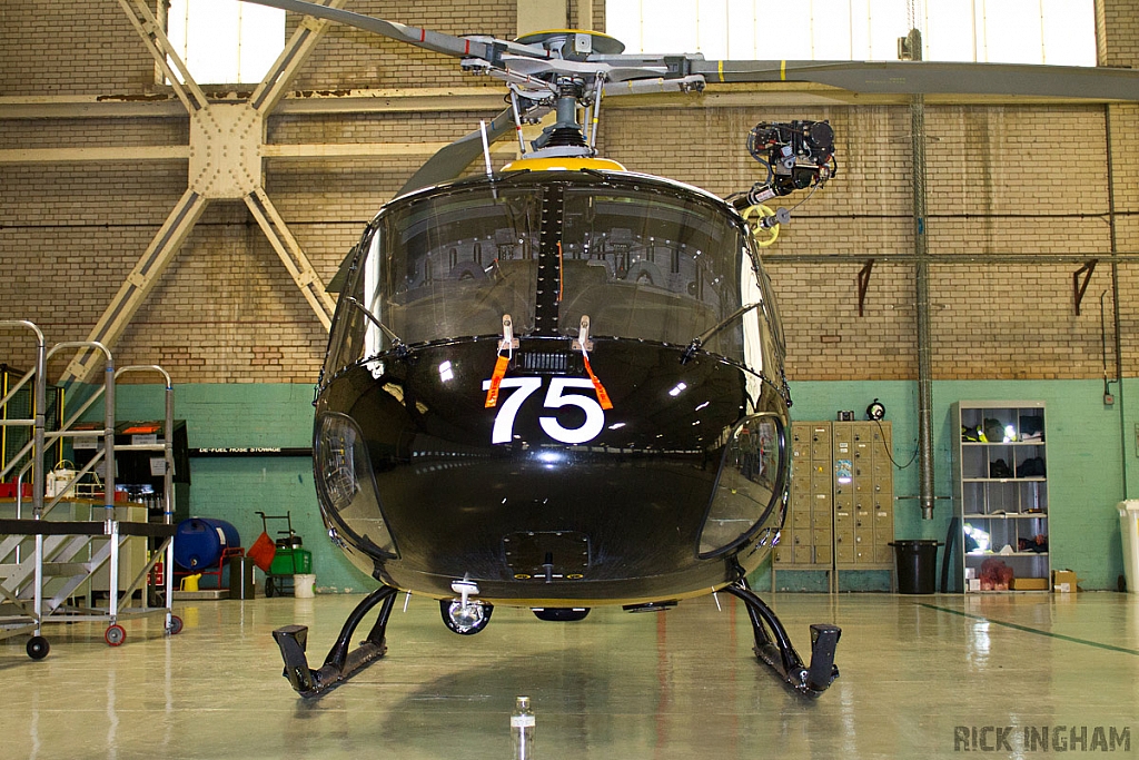 Eurocopter Squirrel HT1 - ZJ275 - DHFS