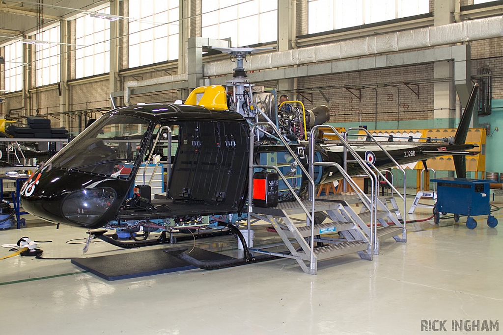 Eurocopter Squirrel HT1 - ZJ266 - DHFS