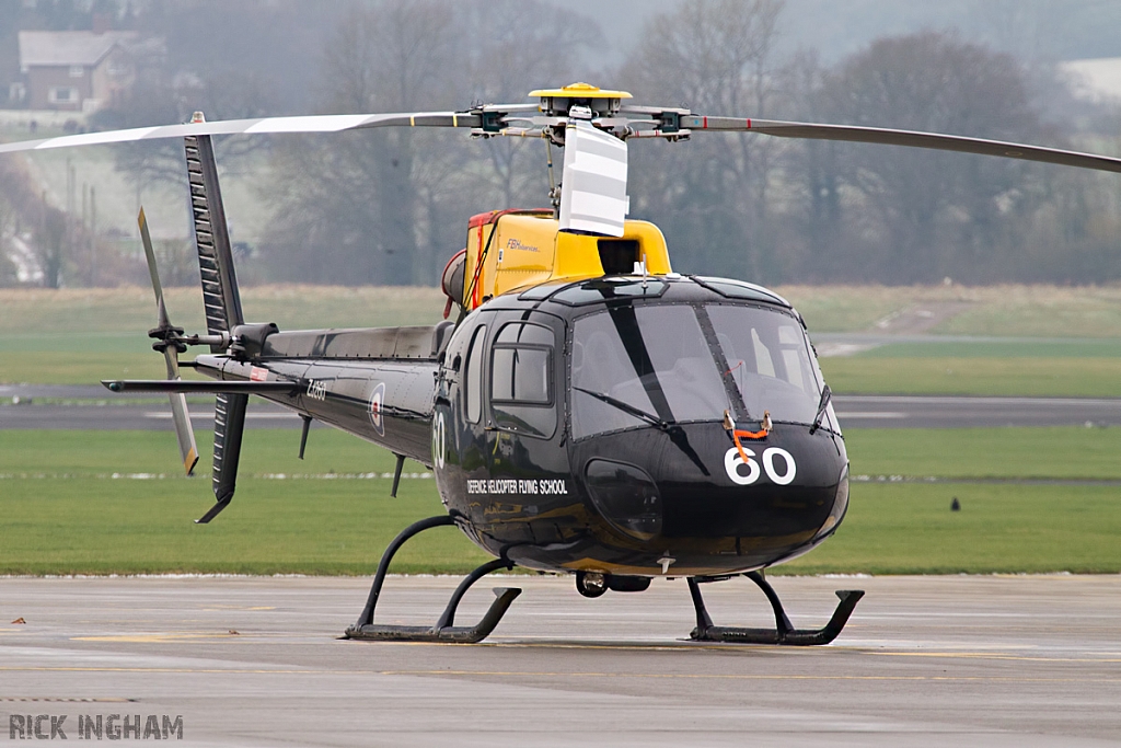 Eurocopter Squirrel HT1 - ZJ260 - DHFS/RAF