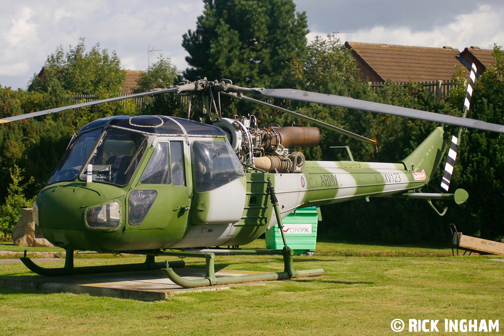 Westland Scout AH1 - XV123 - AAC
