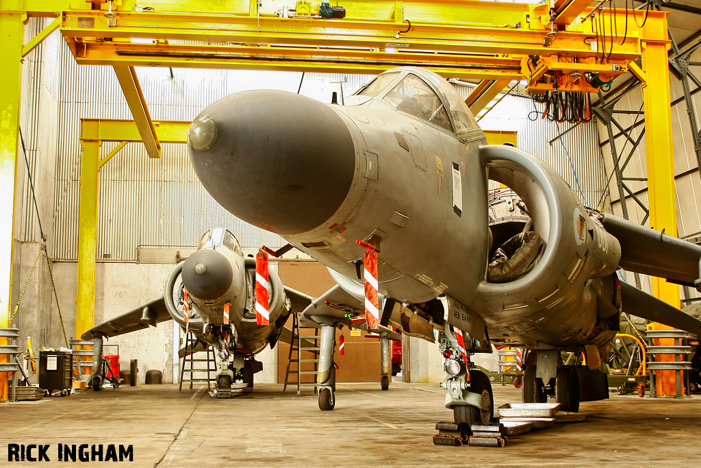 British Aerospace Sea Harrier FA2 - ZH796 + XZ440 - Royal Navy