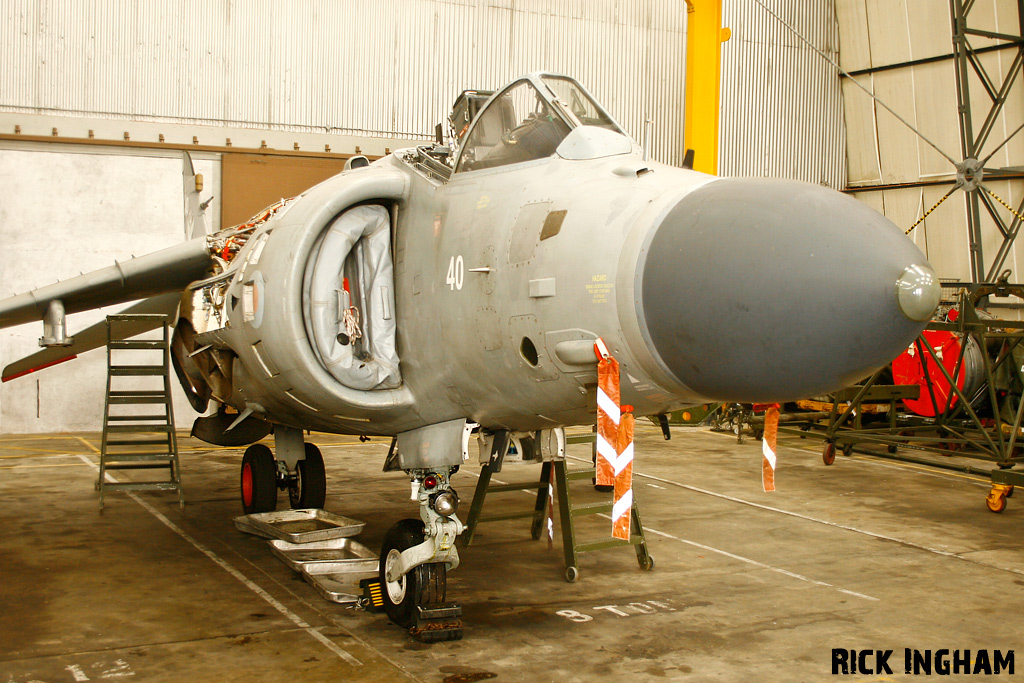 British Aerospace Sea Harrier FA2 - XZ440/40 - Royal Navy