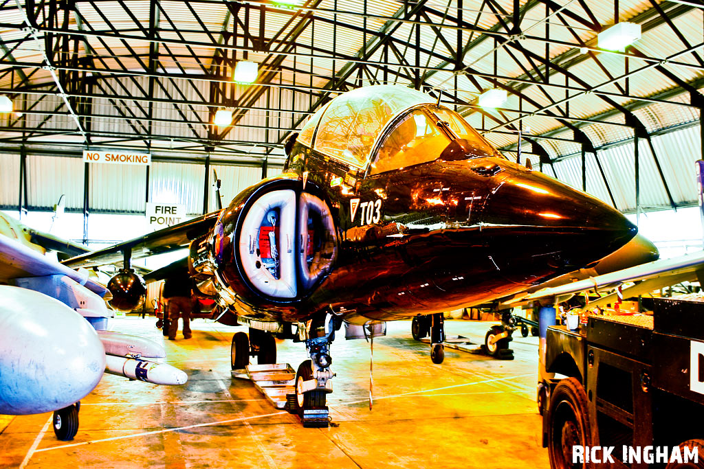 British Aerospace Sea Harrier T8 - ZB603/T03 - Royal Navy