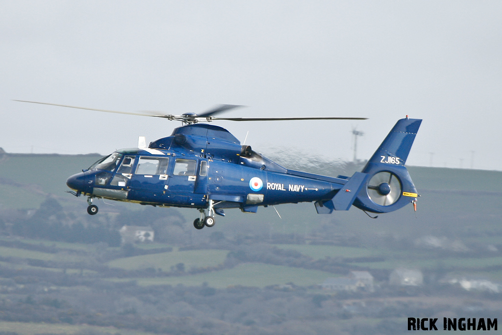 Eurocopter AS365 Dauphin II - ZJ165 - Royal Navy