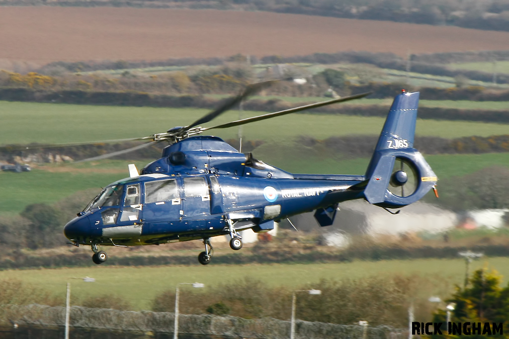 Eurocopter AS365 Dauphin II - ZJ165 - Royal Navy