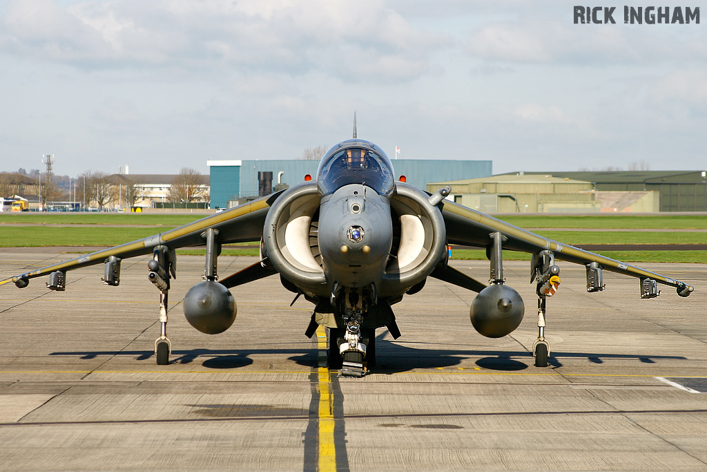 British Aerospace Harrier GR9 - ZD438/50 - RAF