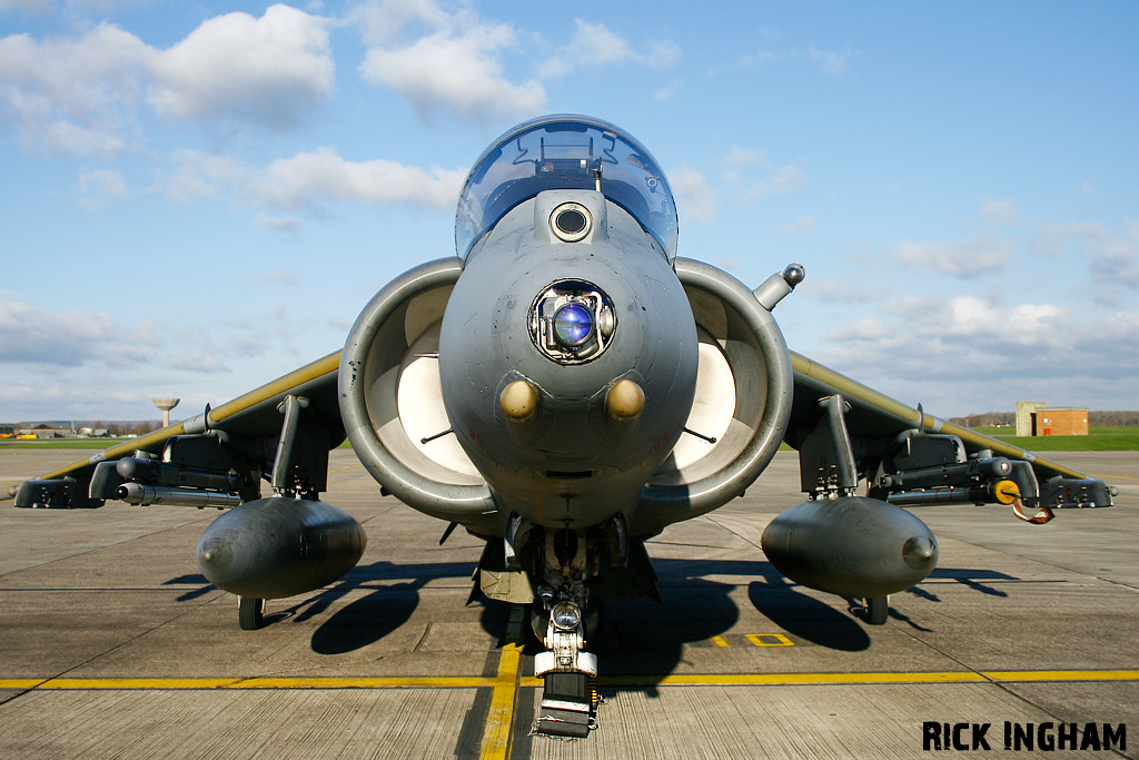 British Aerospace Harrier GR9 - ZD438/50 - RAF