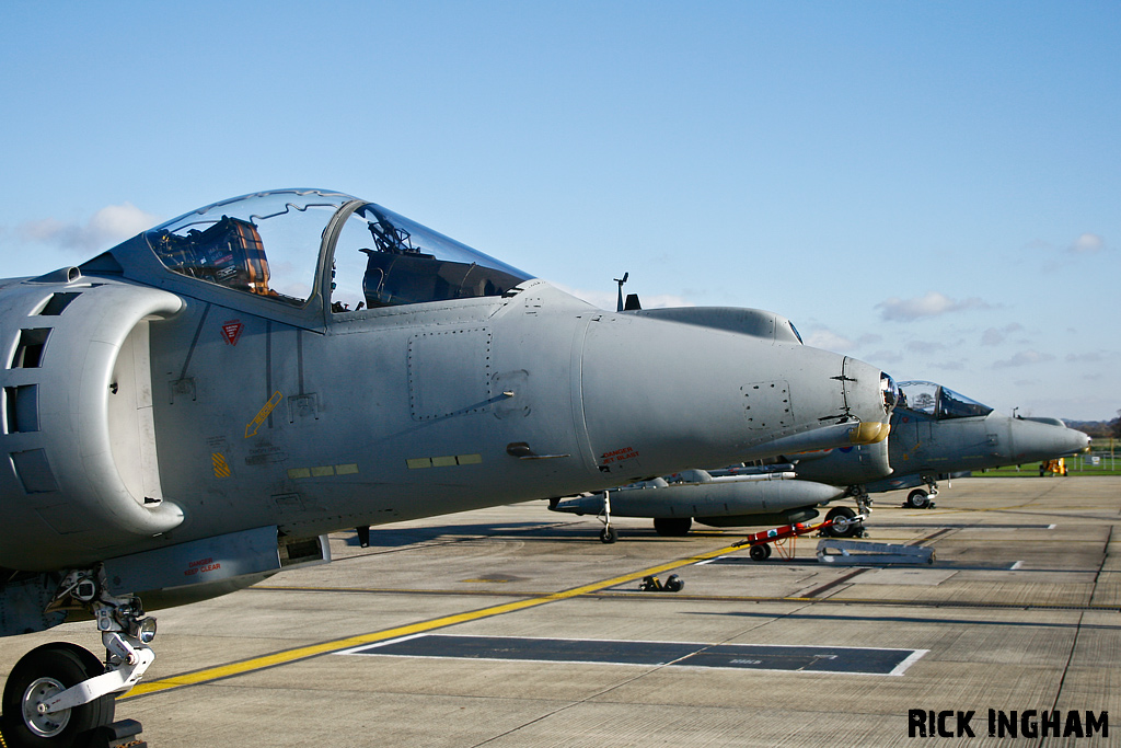 British Aerospace Harrier GR9 - ZG530/84 - RAF