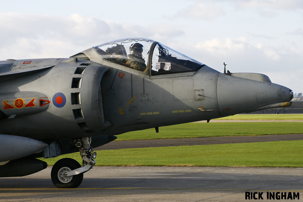 British Aerospace Harrier GR9 - ZD438/50 - RAF