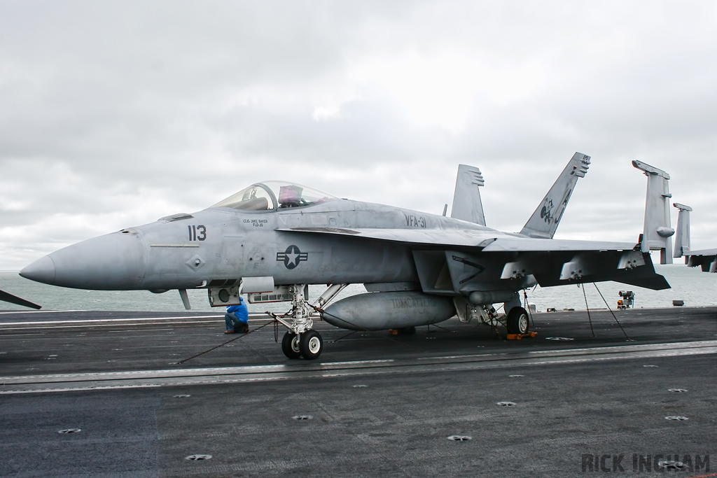 Boeing FA-18E Super Hornet - 166788/113 - US Navy