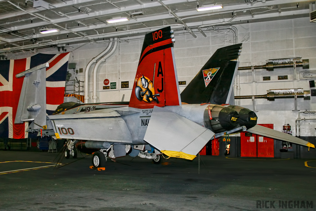 Boeing FA-18E Super Hornet - 166776/100 - US Navy