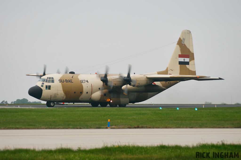 Lockheed C-130H Hercules - SU-BAE/1274 - Egyptian Air Force