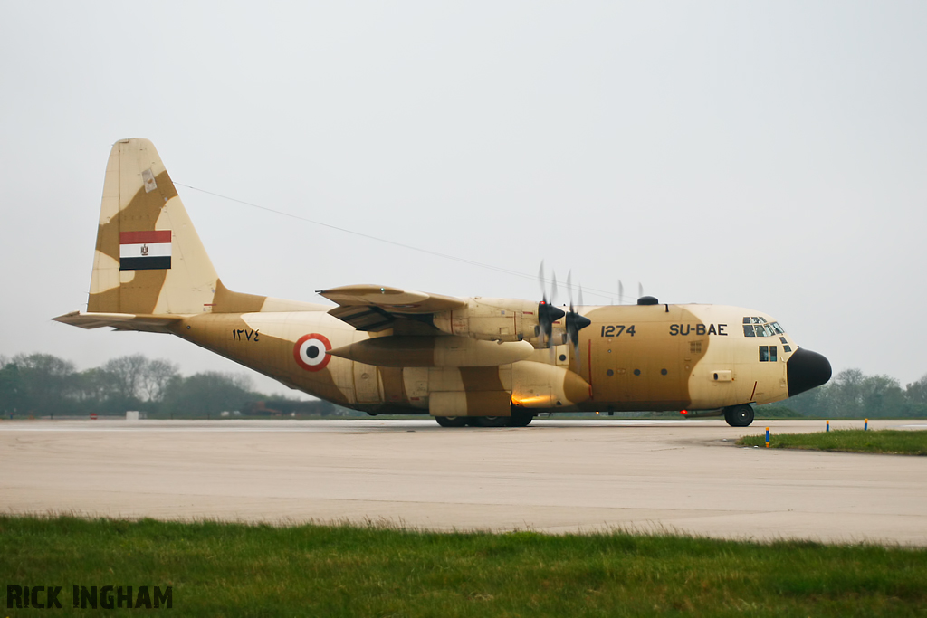 Lockheed C-130H Hercules - SU-BAE/1274 - Egyptian Air Force