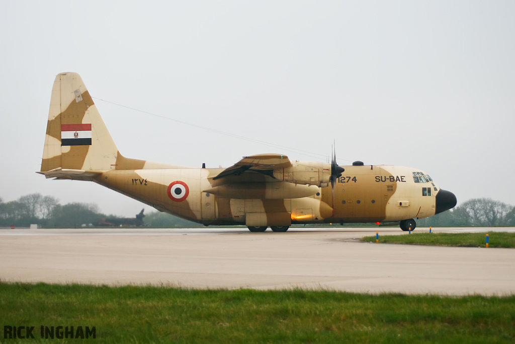 Lockheed C-130H Hercules - SU-BAE/1274 - Egyptian Air Force