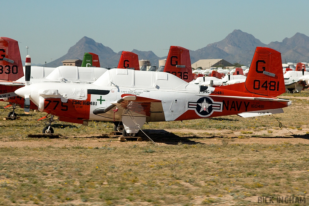 Beechcraft T-34C Mentor - 160481/775 - US Navy