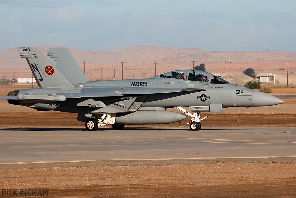 Boeing EA-18G Growler - 168901/514 - US Navy