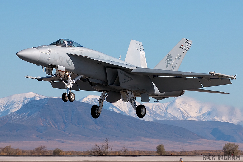 Boeing F/A-18E Super Hornet - 168919 - US Navy