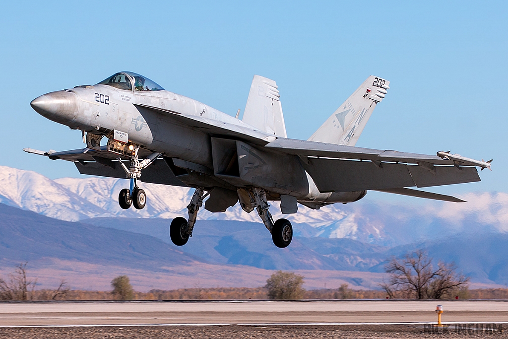 Boeing F/A-18E Super Hornet - 166832 - US Navy