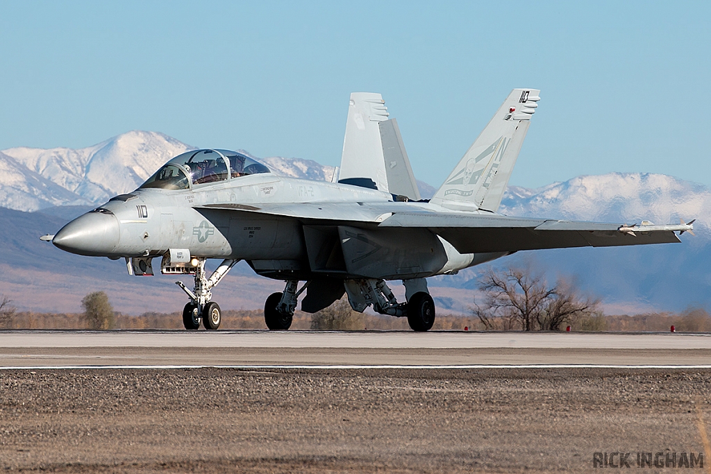 Boeing F/A-18E Super Hornet - 165924 - US Navy