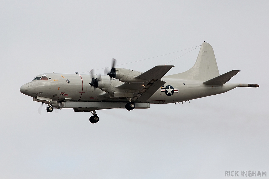 Lockheed P-3C Orion - 161337  - US Navy