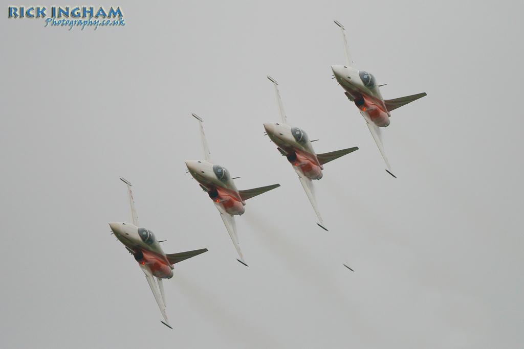 Northrop F-5E Tiger II - Patrouille Suisse