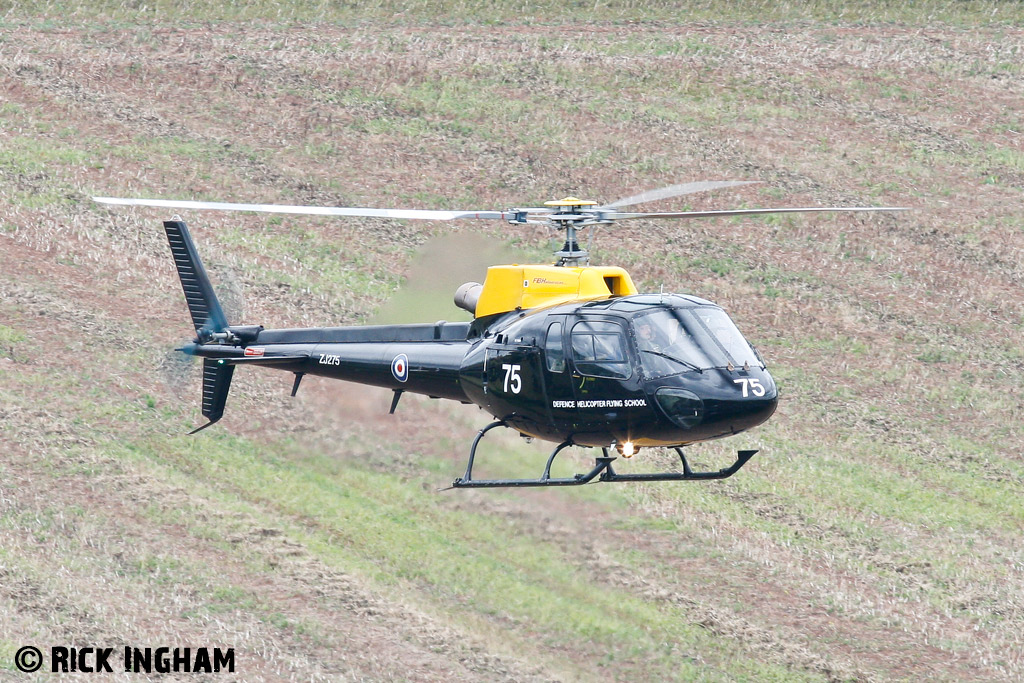 Eurocopter Squirrel HT1 - ZJ275 - DHFS