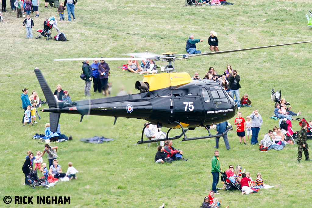 Eurocopter Squirrel HT1 - ZJ275 - DHFS