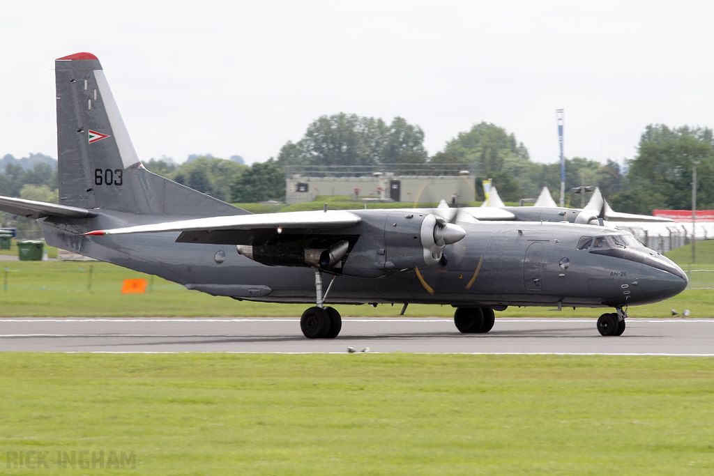 Antonov An-26 Curl - 603 - Hungarian Air Force