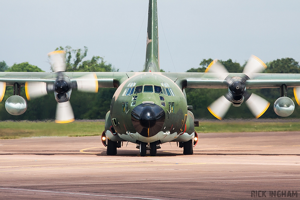 Lockheed C-130H Hercules - 7T-WHE - Algerian Air Force