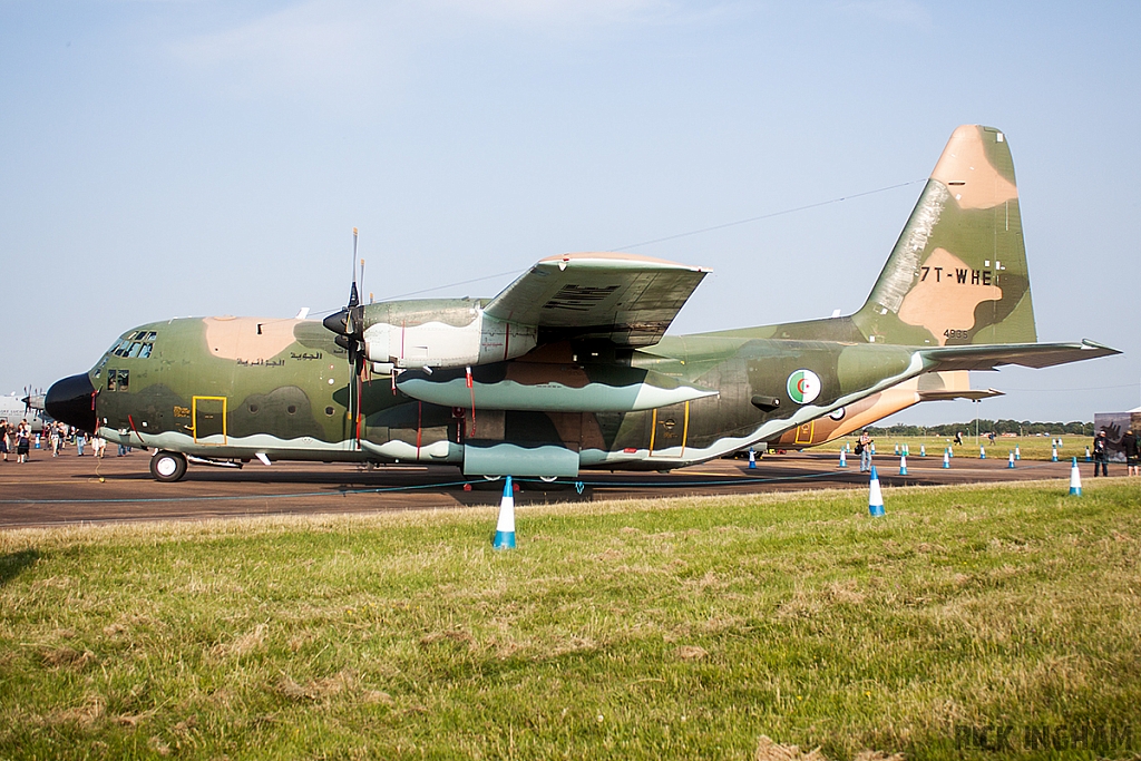 Lockheed C-130H Hercules - 7T-WHE - Algerian Air Force