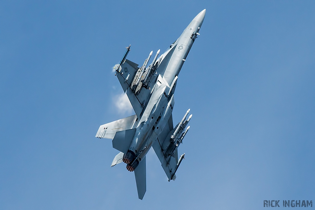 Boeing F/A-18F Super Hornet - 168890 - US Navy