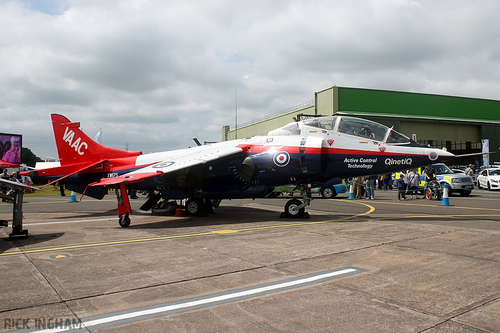 British Aerospace Sea Harrier T4N VAAC - XW175 - QinetiQ