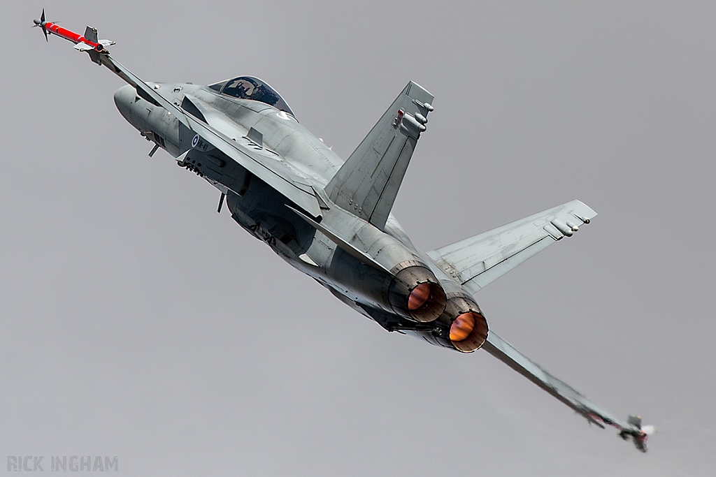 McDonnell Douglas F/A-18C Hornet - HN-411 - Finnish Air Force