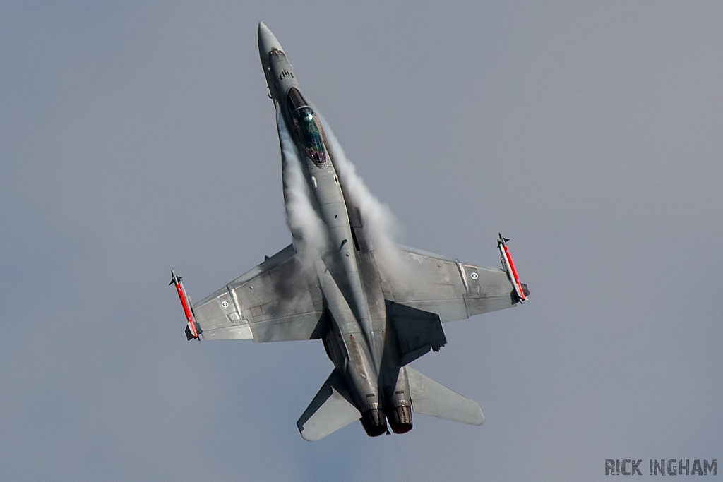 McDonnell Douglas F/A-18C Hornet - HN-411 - Finnish Air Force