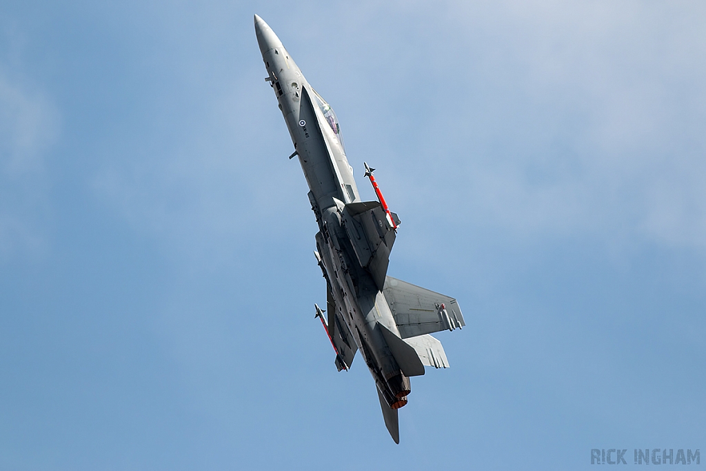 McDonnell Douglas F/A-18C Hornet - HN-411 - Finnish Air Force