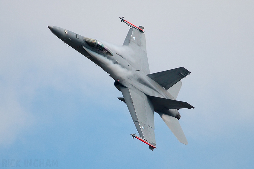 McDonnell Douglas F/A-18C Hornet - HN-406 - Finnish Air Force