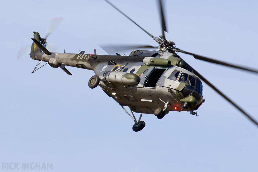 Mil Mi-17 Hip - 9813 - Czech Air Force