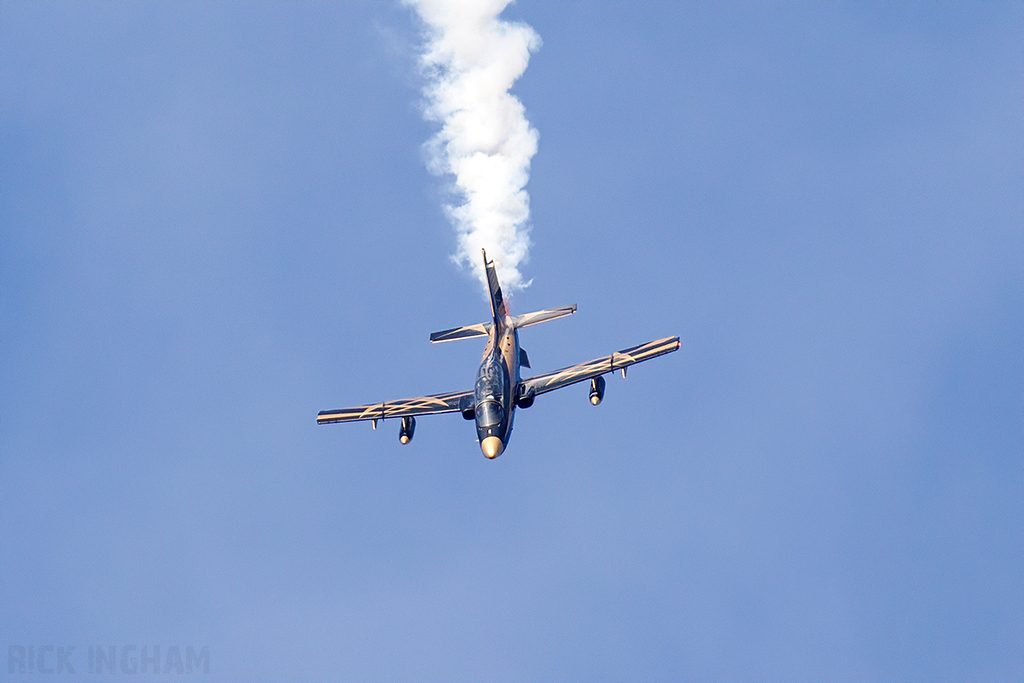 Aermacchi MB-339NAT - United Arab Emirates Air Force | Al Fursan