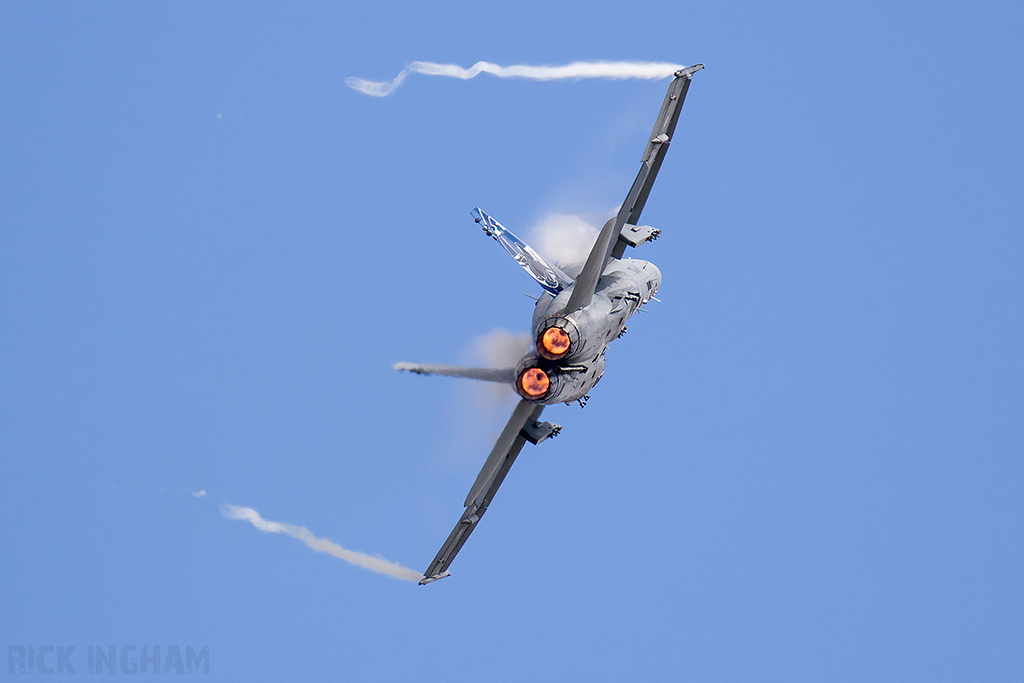 McDonnell Douglas F-18C Hornet - HN-411 - Finnish Air Force