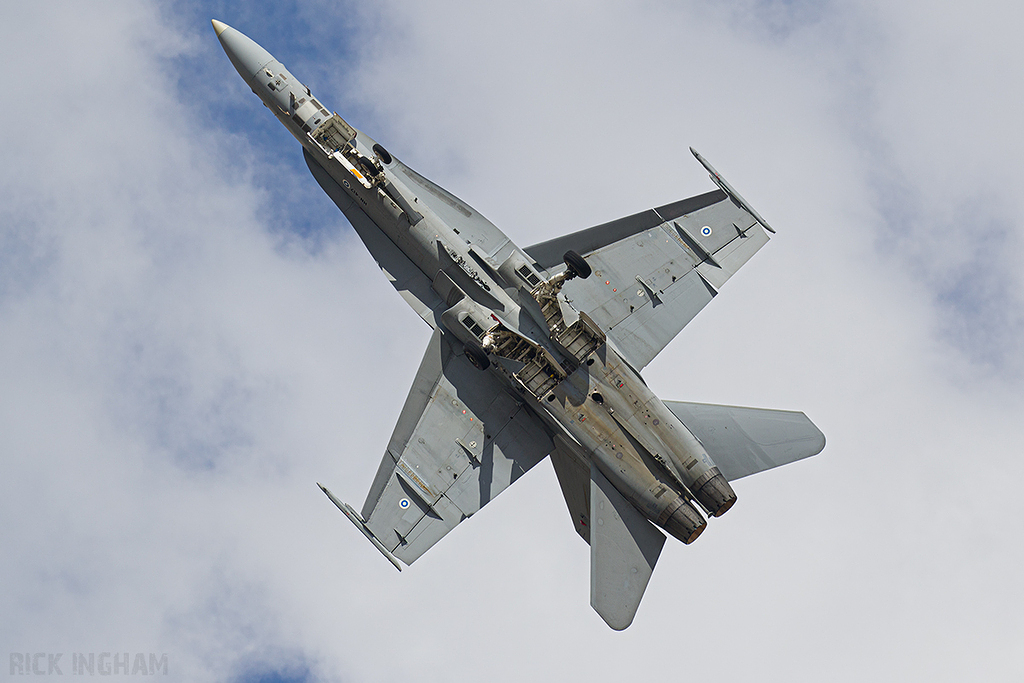 McDonnell Douglas F/A-18C Hornet - HN-417 - Finnish Air Force