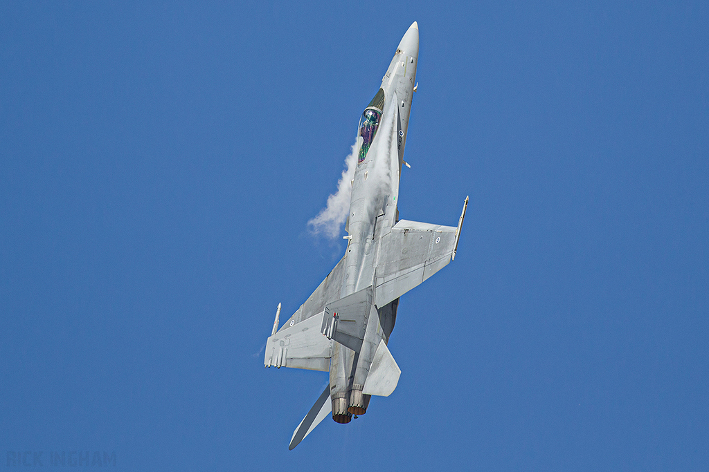 McDonnell Douglas F/A-18C Hornet - HN-417 - Finnish Air Force