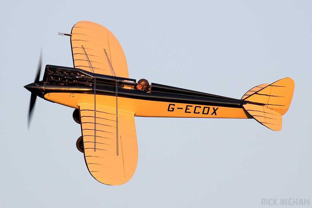 de Havilland DH.71 Tiger Moth - G-ECOX