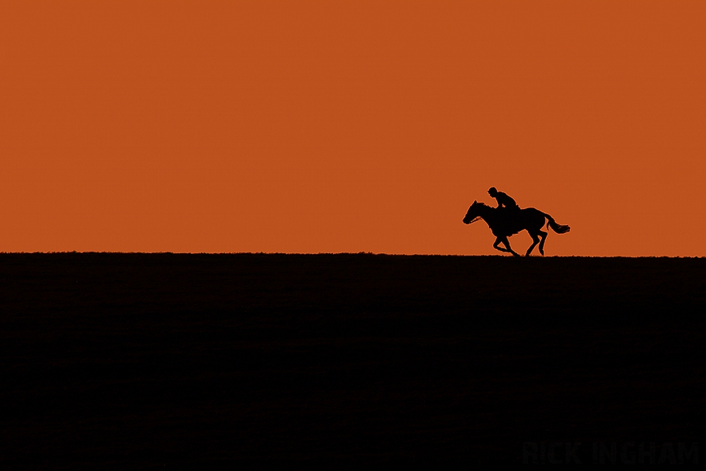 Horse Sunset