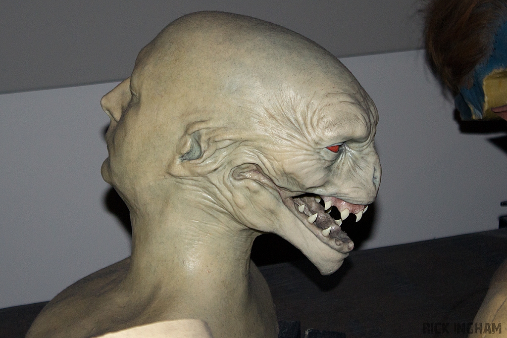 IMG 1643