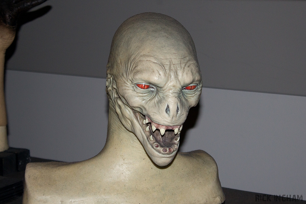 IMG 1644