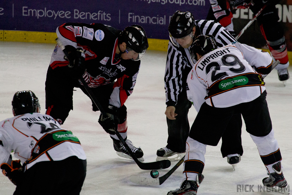 Cardiff Devils + Sheffield Steelers