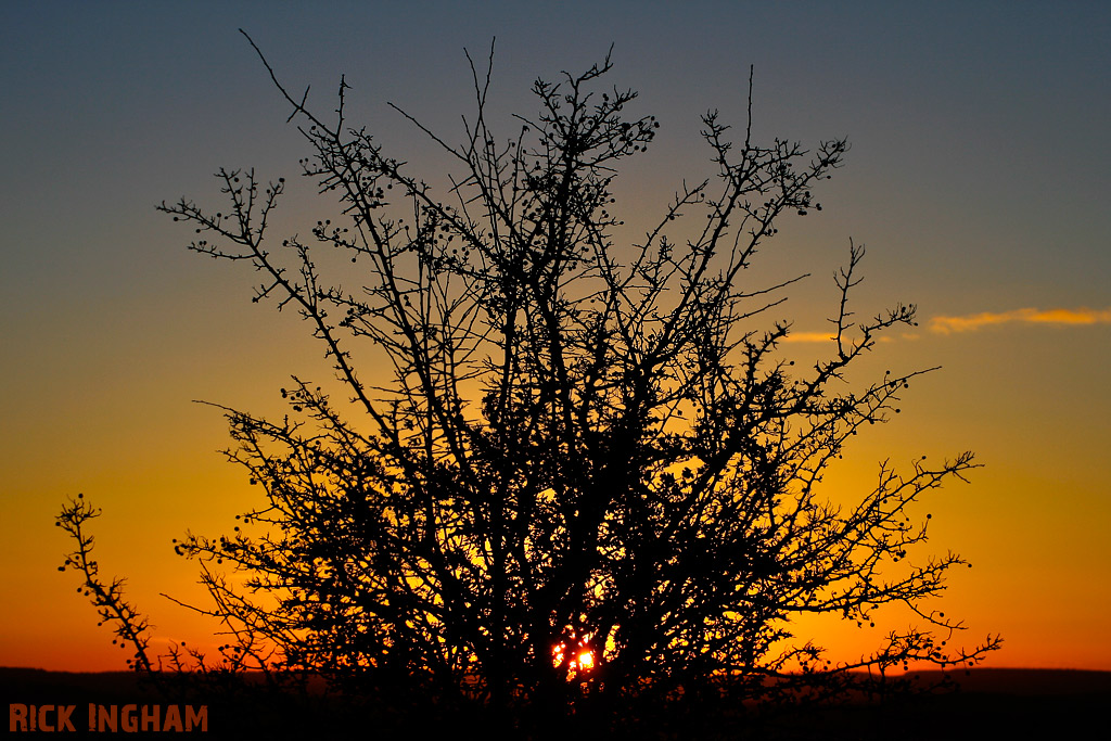 Sunset on Salisbury Plain