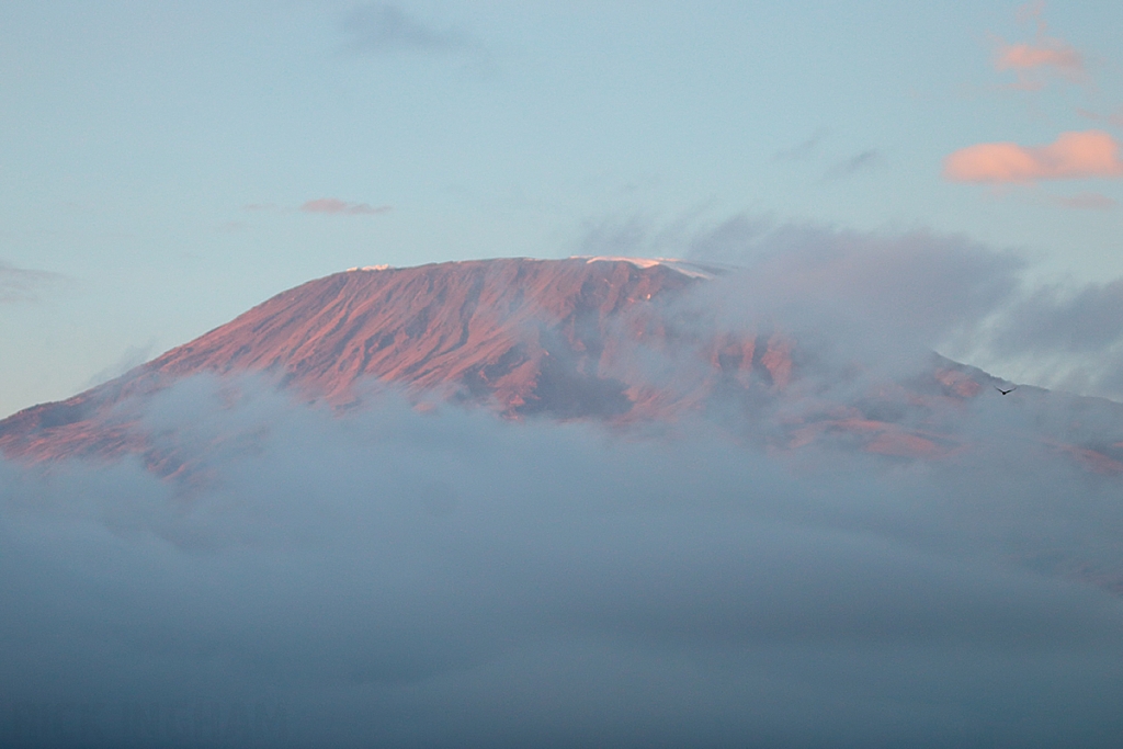 Mount Kilimanjaro